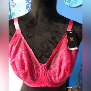 Wacoal sexy Hot Pink Lace Bra Sz. 38D